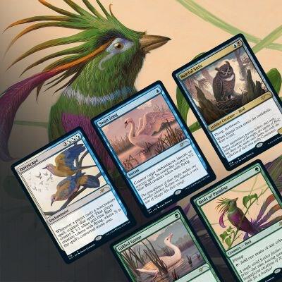 Magic the Gathering: Secret Lair Drop - Ornithological Studies (Non-Foil Edition)
